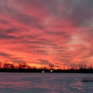 Meet your Posher, Frank